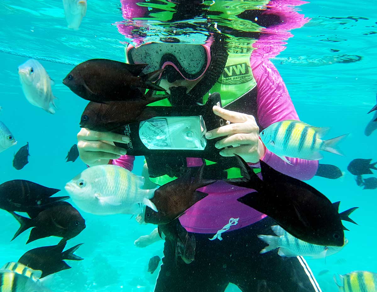 Waterproof Phone Case - Large - Image 11